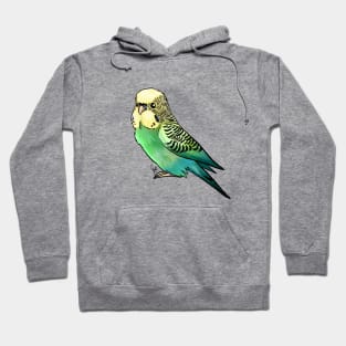 Bird - Budgerigar Parakeet - Green Hoodie